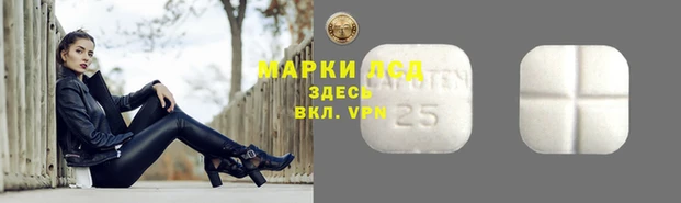 кокс Касимов