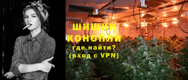 кокс Касимов