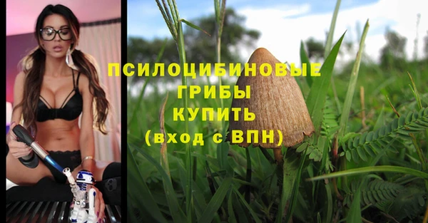 кокс Касимов