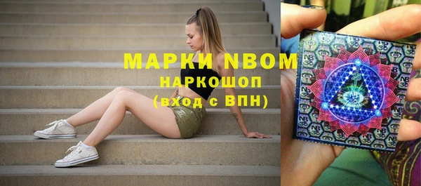 кокс Касимов
