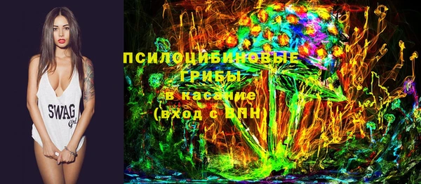 соль ск Туринск