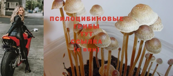 меф Нягань