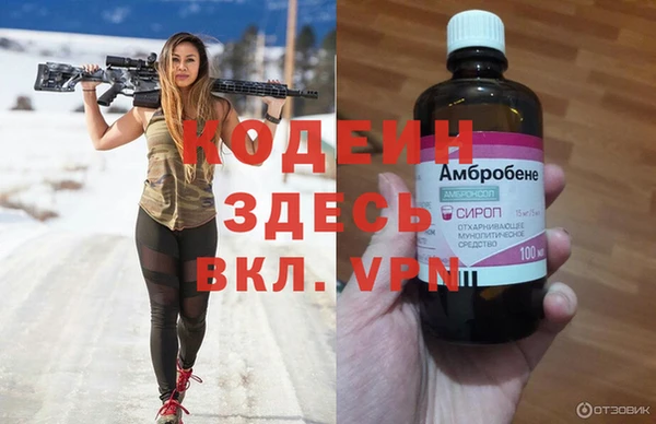 кокс Касимов