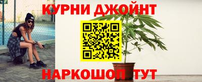 герыч Кингисепп