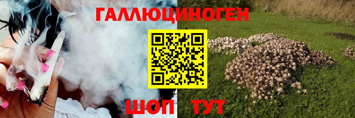 Галлюциногенные грибы GOLDEN TEACHER Муром